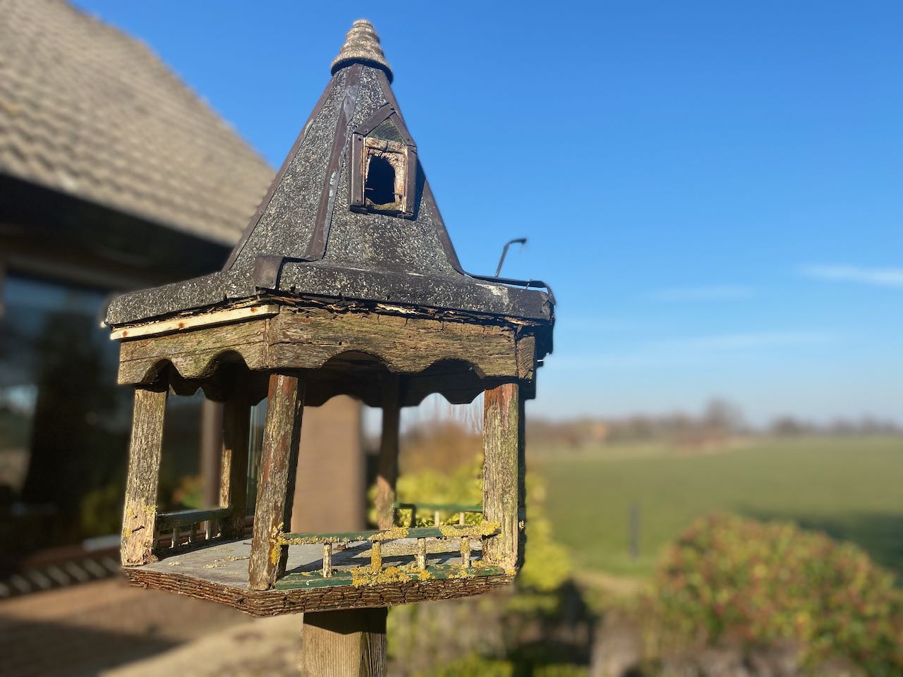 De vrouwelijke waarde van Nestzorg